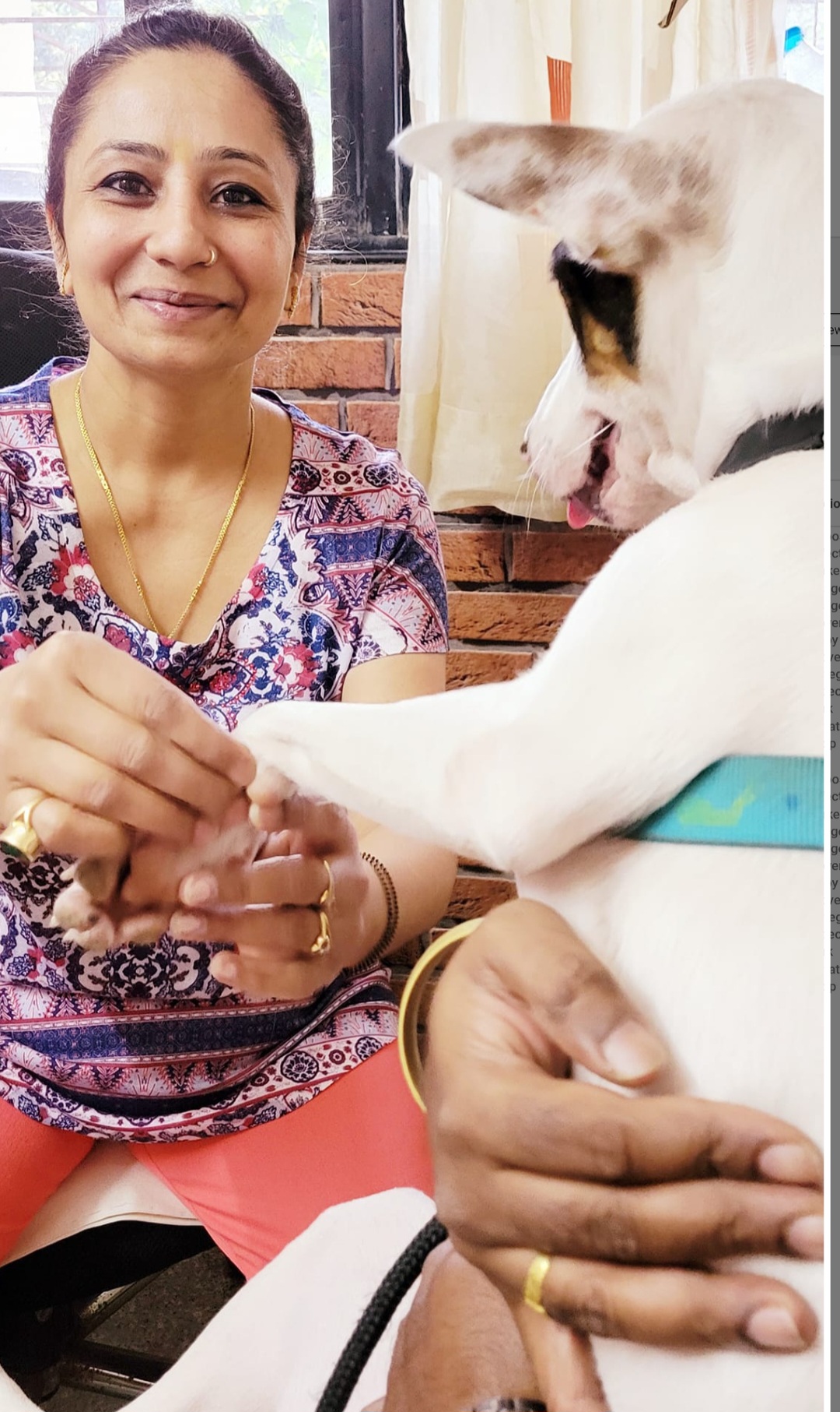 Dog Riya has recovered from skin issue through Aayushanti...