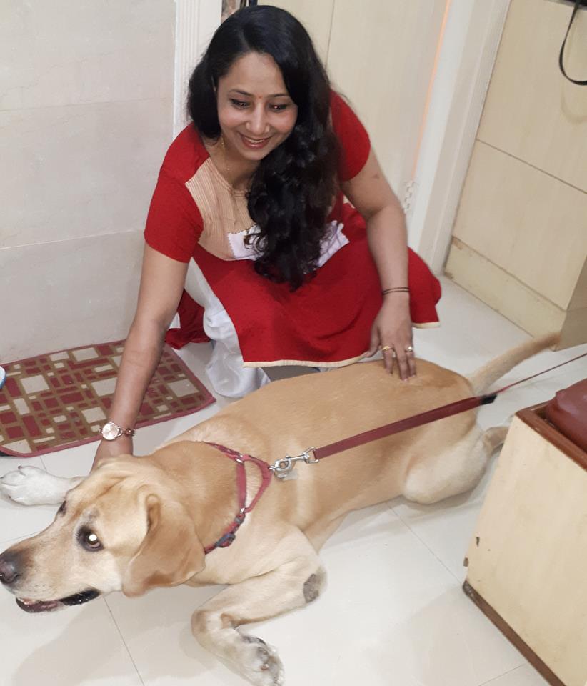 Pulse Reading of Dog